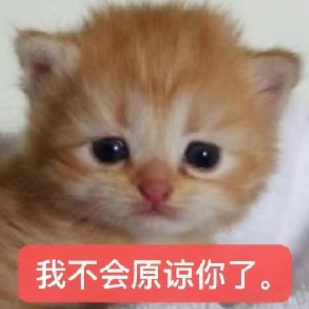 每天破防八百次*