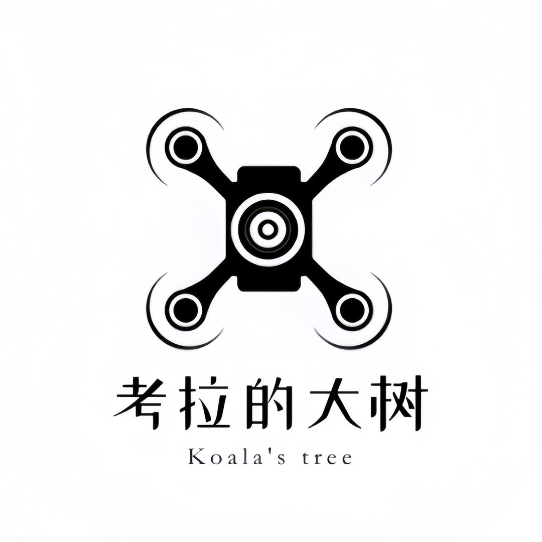 考拉的大树航拍工作室