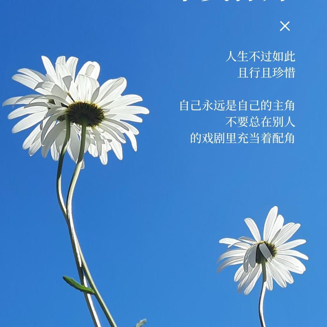 顾辞💫