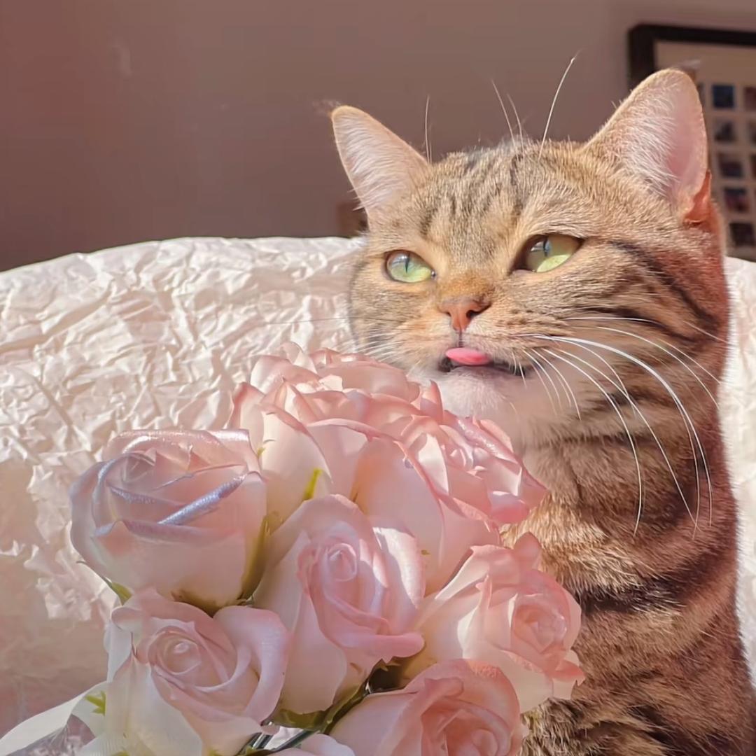 MaorNail 猫耳美甲美睫工作室