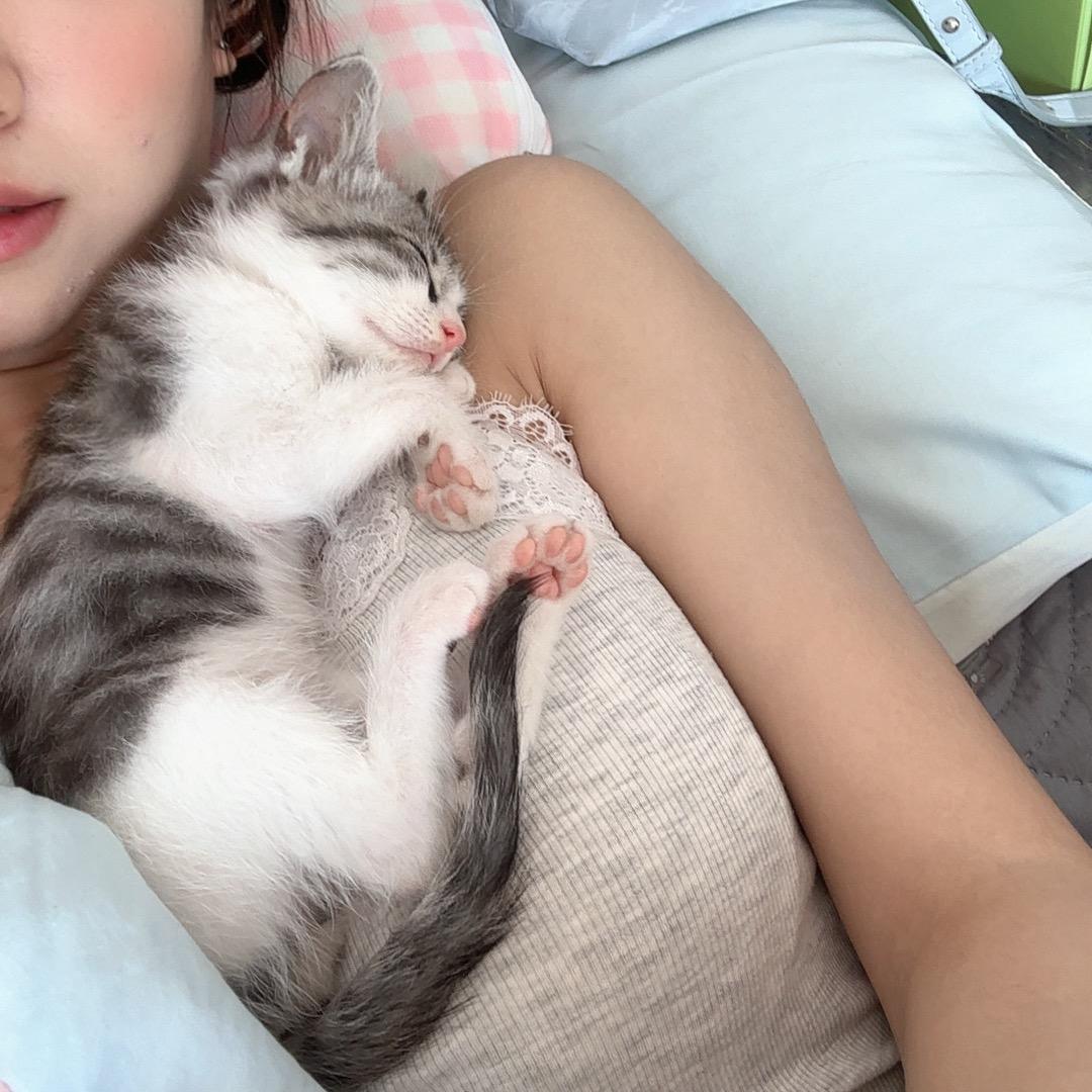 小牛撞地球