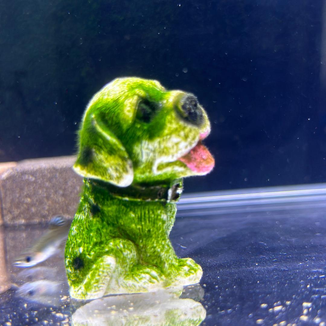 吖🥰
