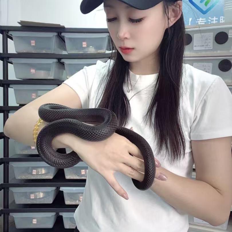 沐沐家爬宠