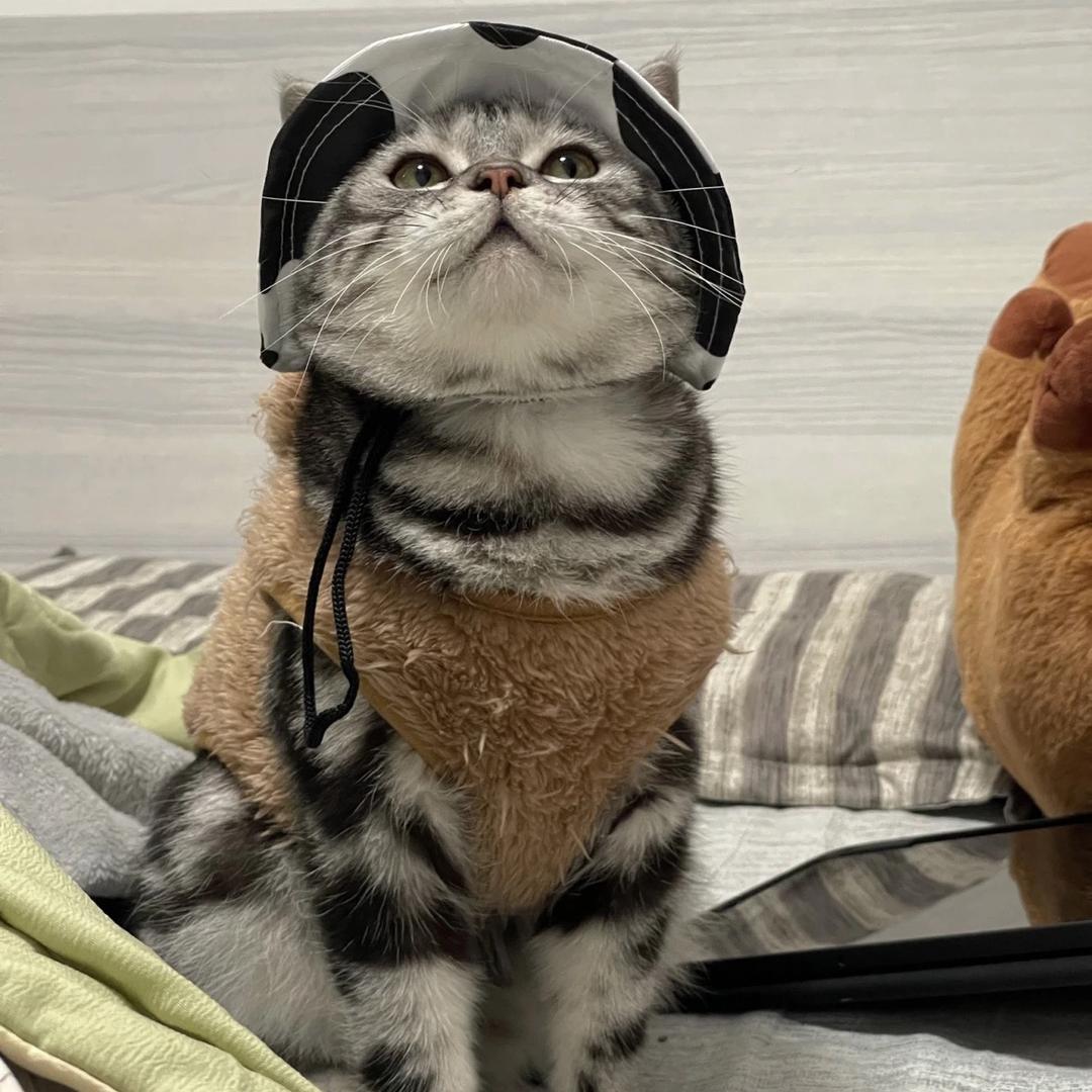 小依依～