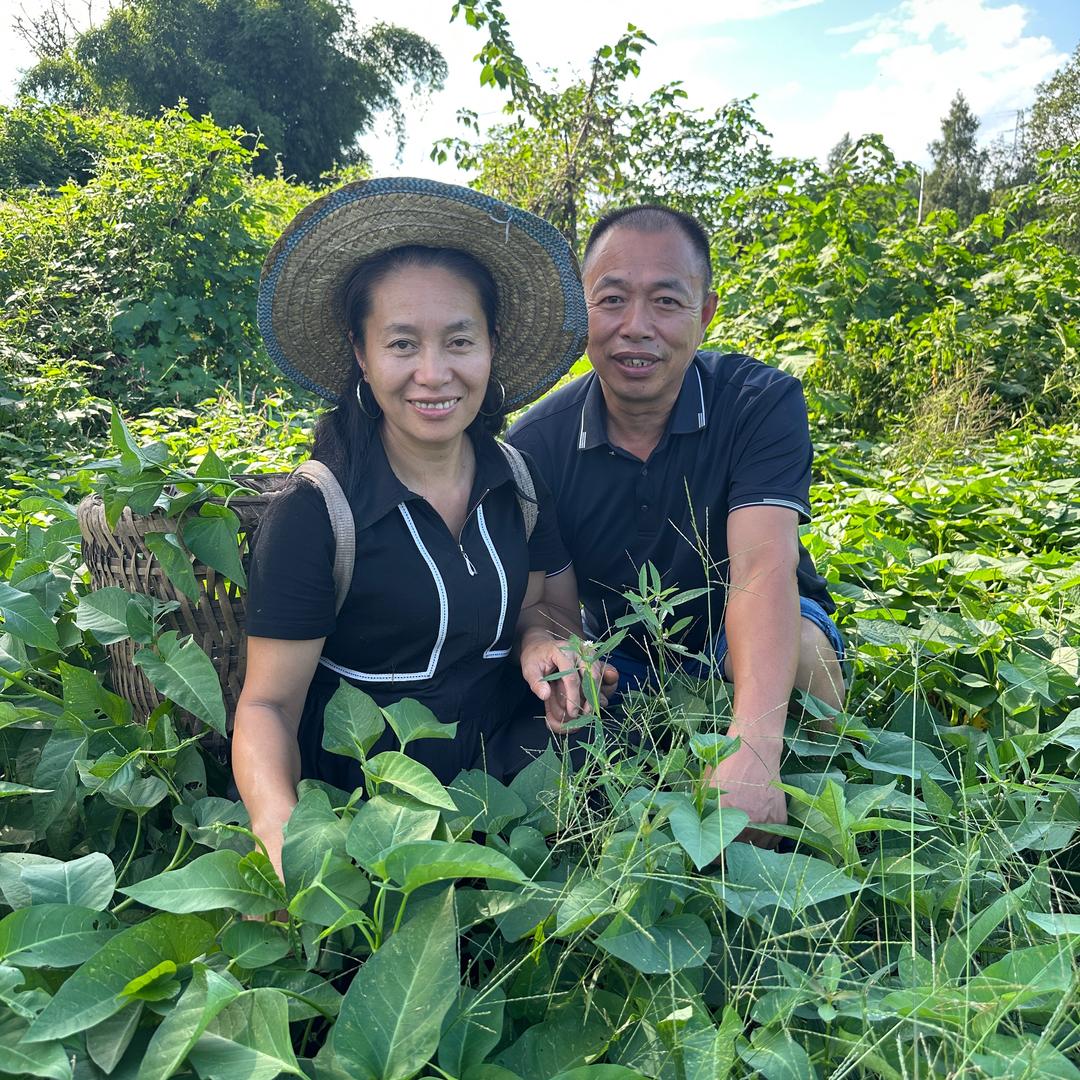 卖菜姐（尊师周大娃）