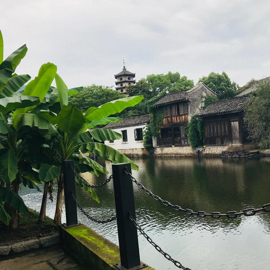 幸福的小飞猪
