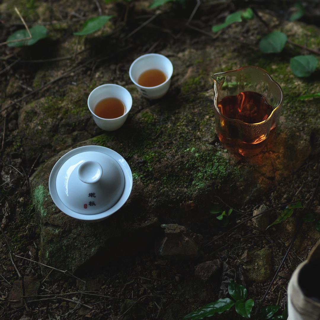 墘枞｜武夷岩茶