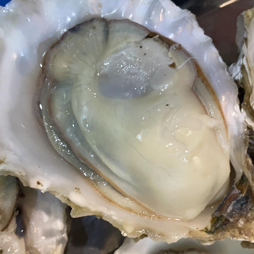 保佳水产生鲜甄选仓