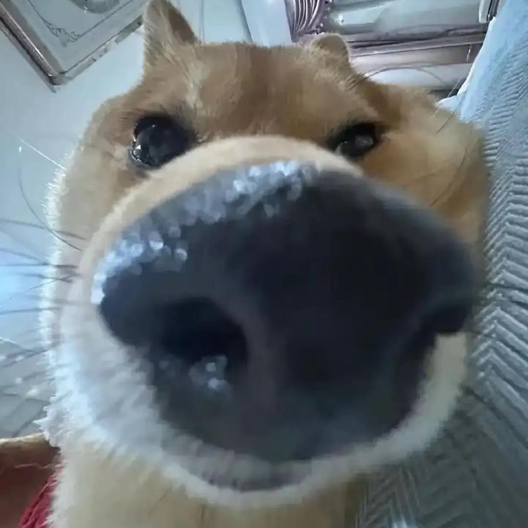 小泪珠