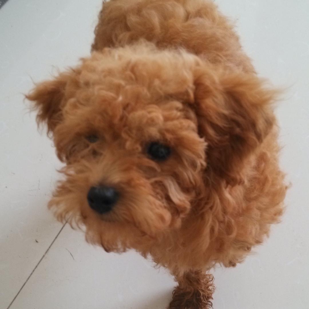 深情反而成了笑话