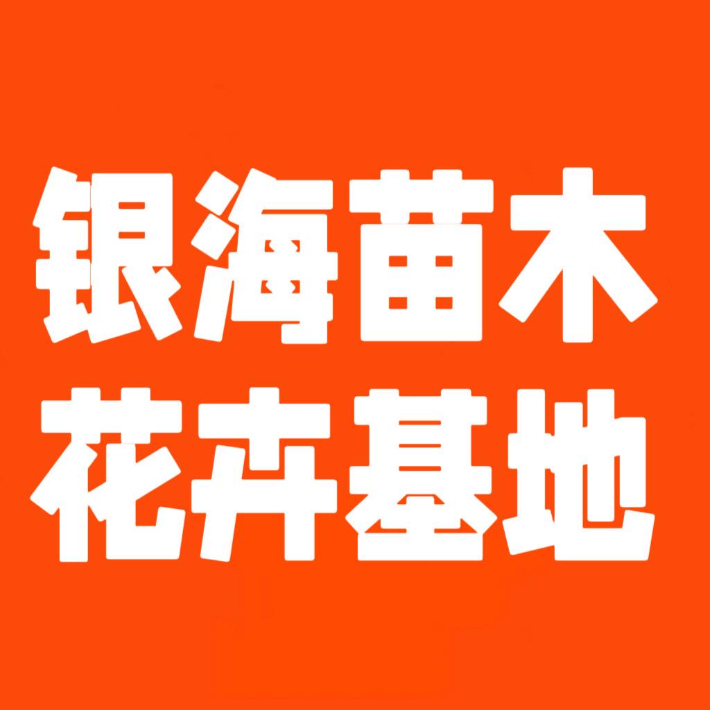 银海苗木花卉基地