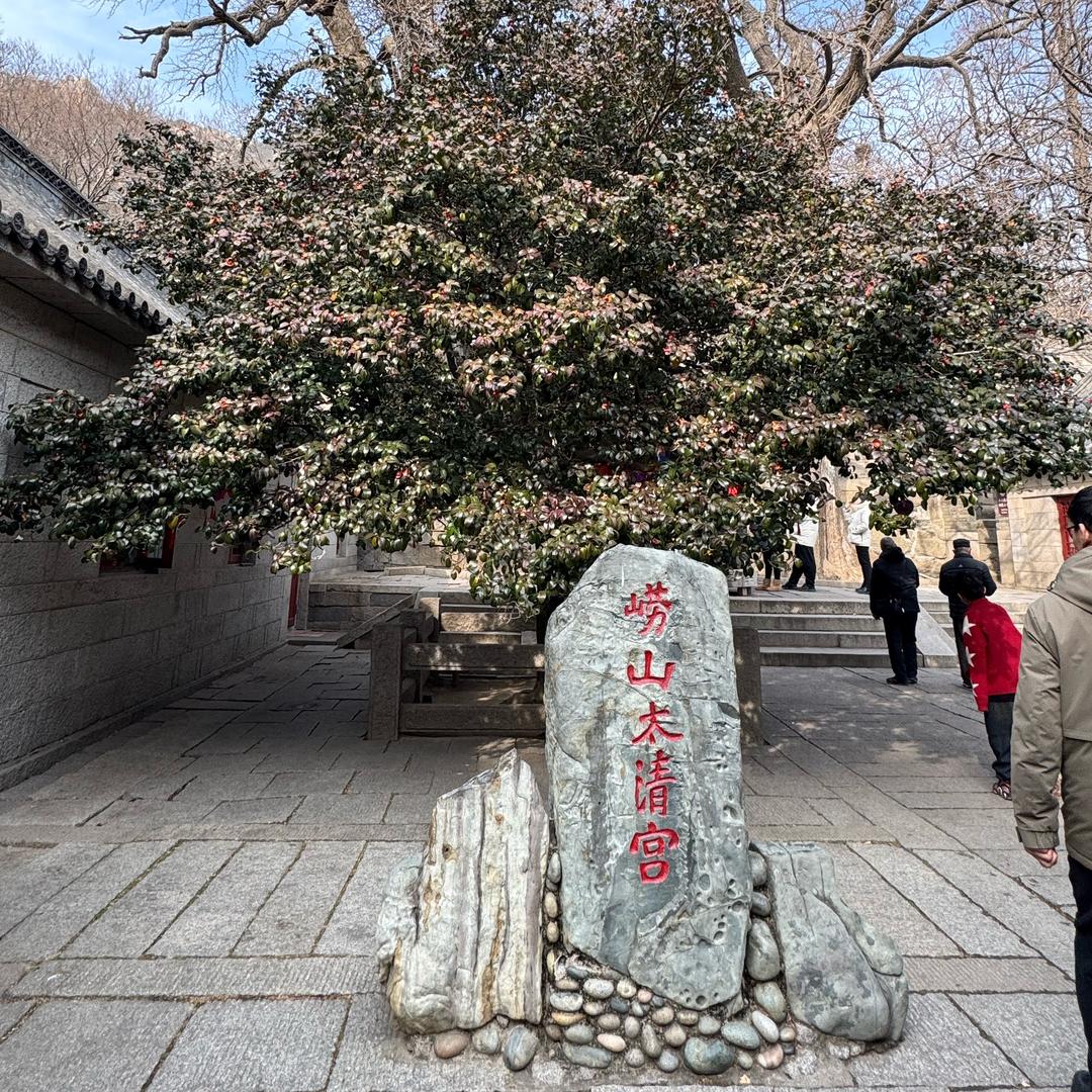 李沐辰天星