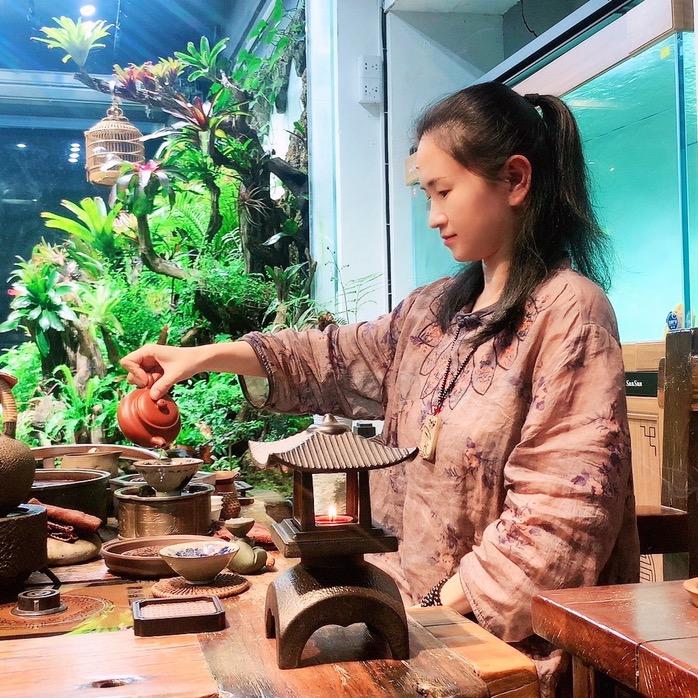 云歌水族美学