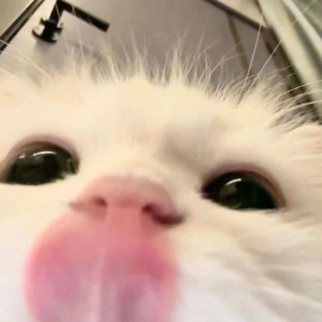 1Wan
