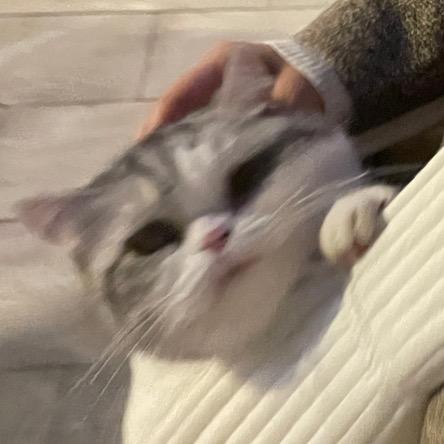 用户名73439130头像