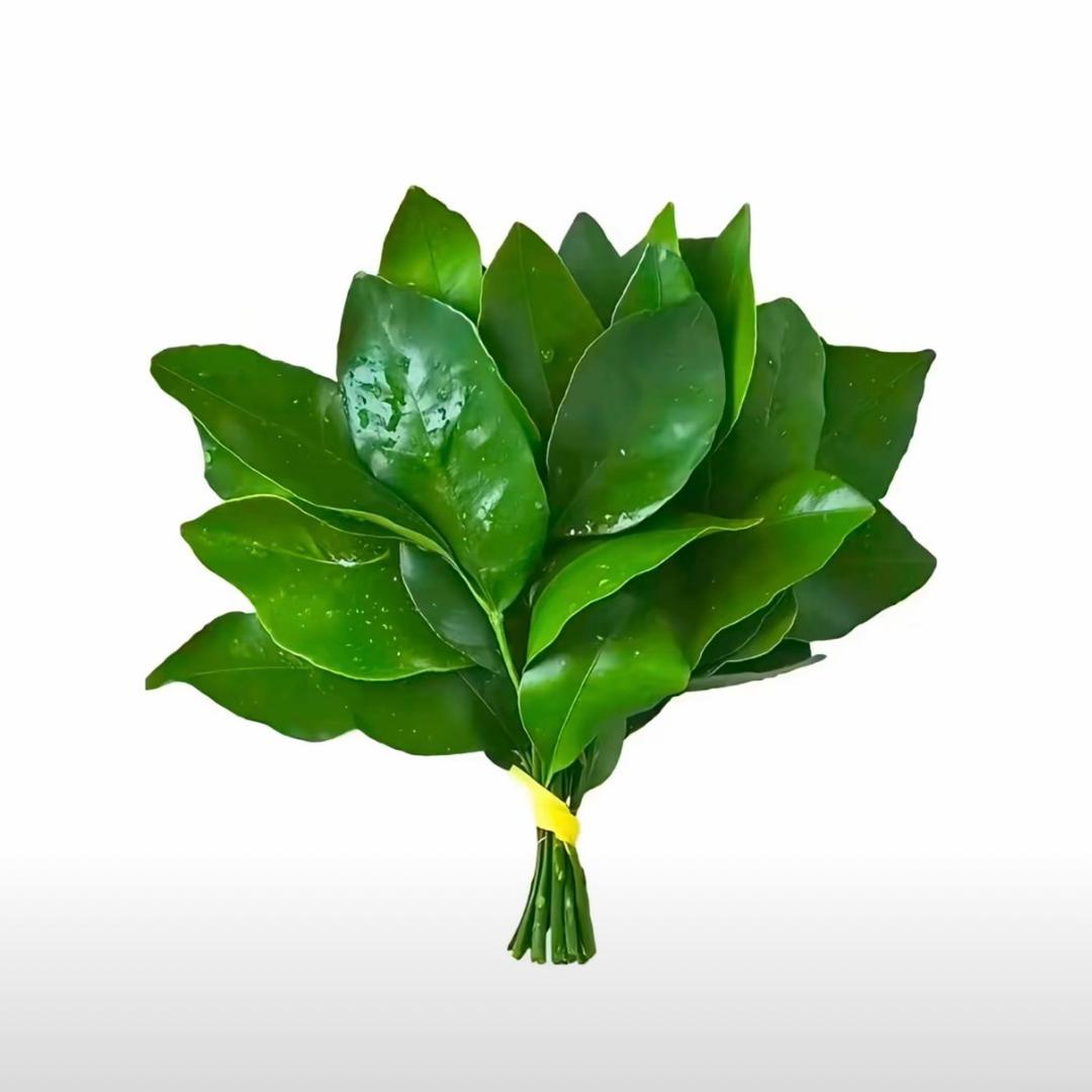 铁汁强着呢