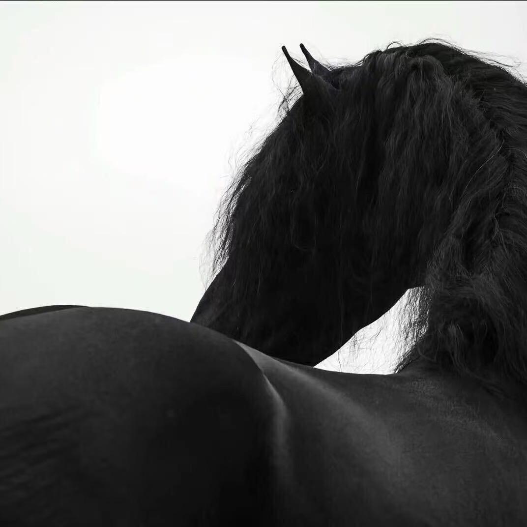 黑马商行♻️（三角洲）