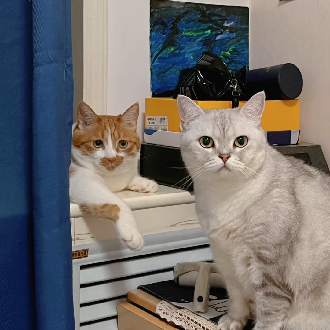 阿布阿悠幸福快乐❤️