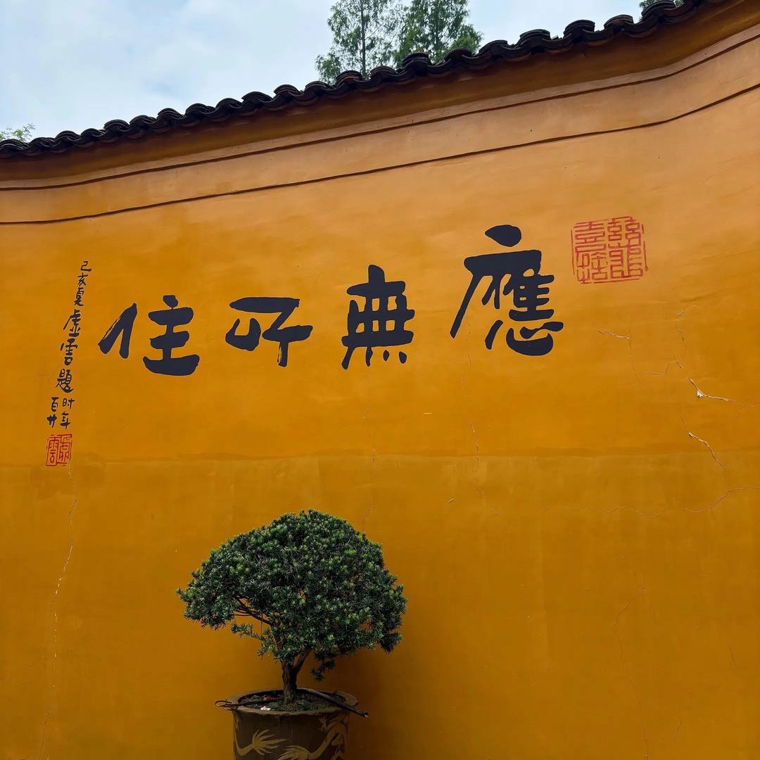 九月韶华