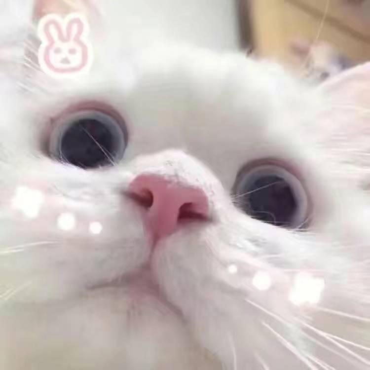 管我小超什么事