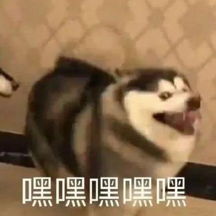 久远吖