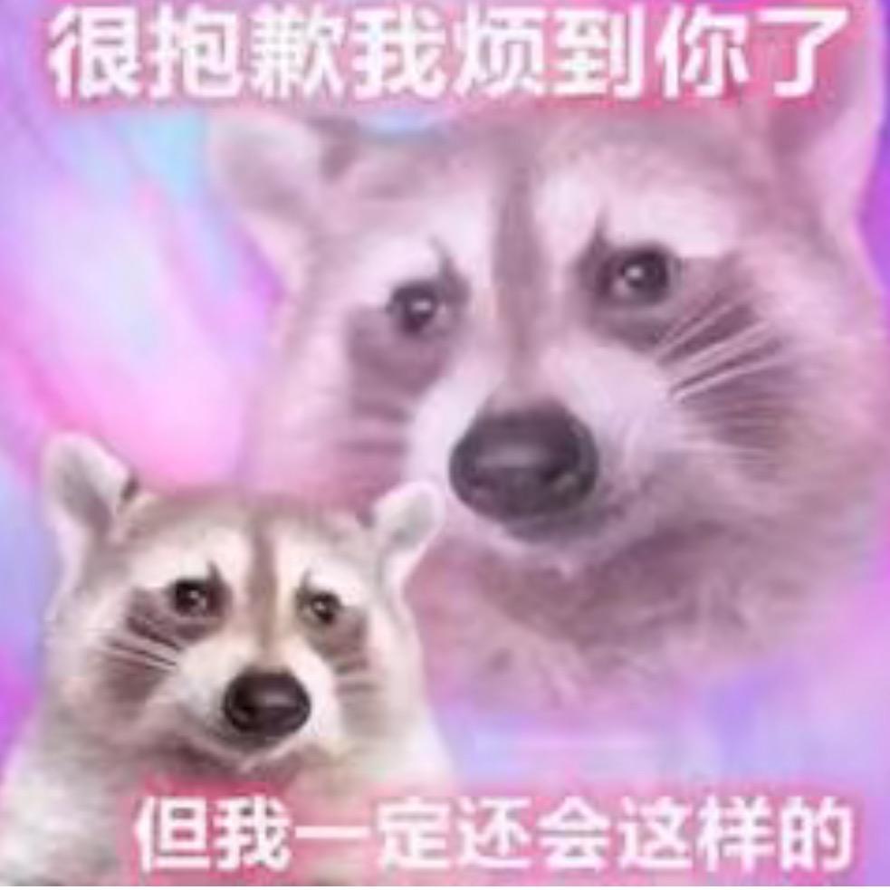 浣熊恶魔