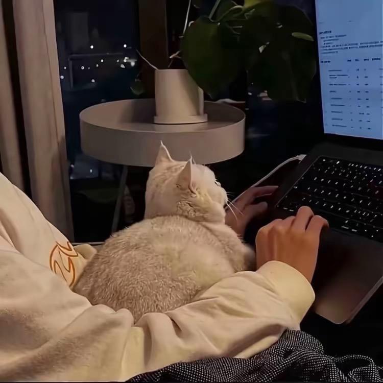 天翼