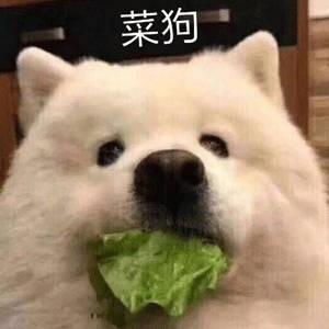 一只很有文化的鳥