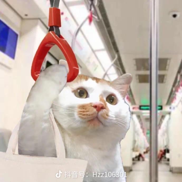 是的你说得对