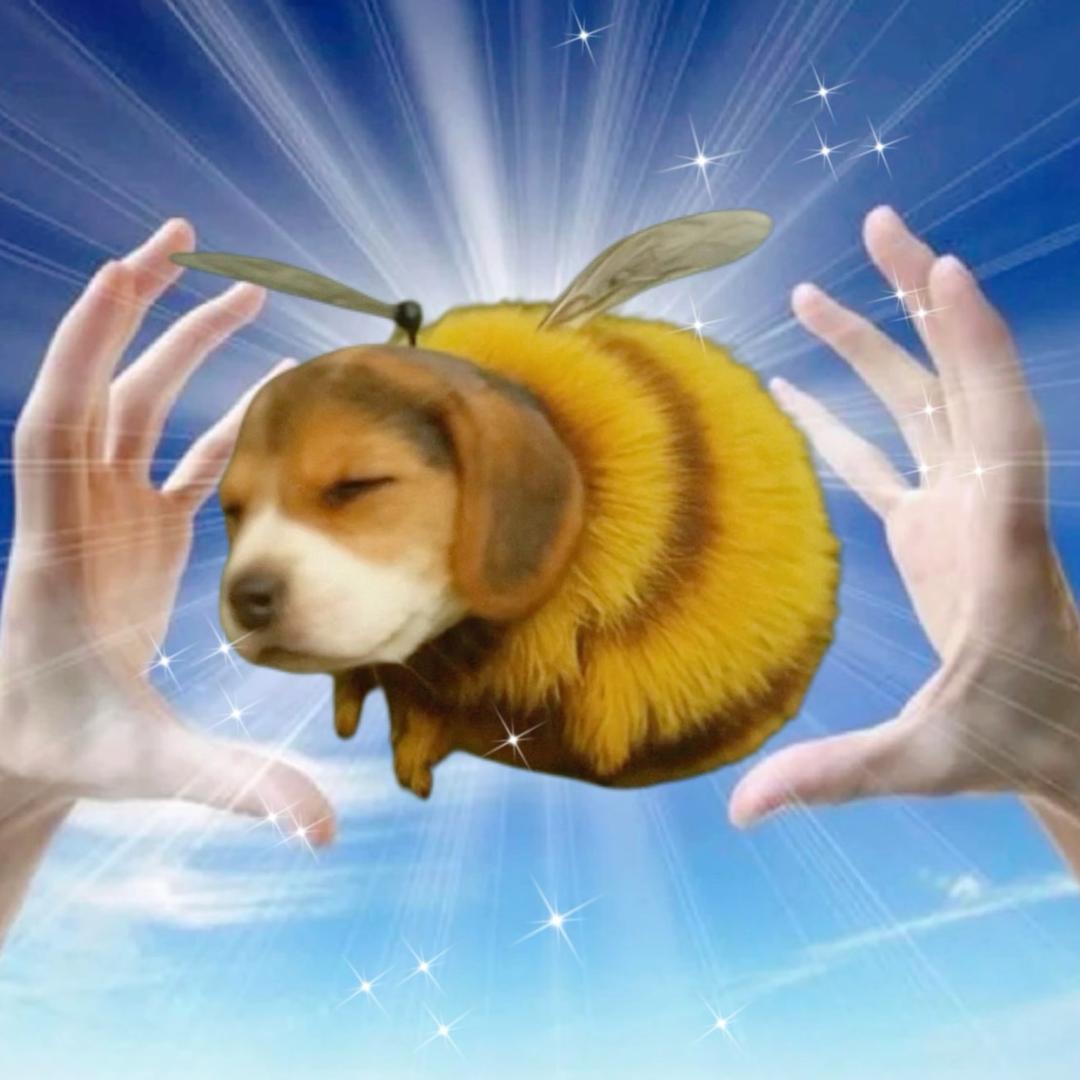 𝙏𝘼𝙃𝙉𝙀𝙀𝘼𝙁𝘾塔妮
