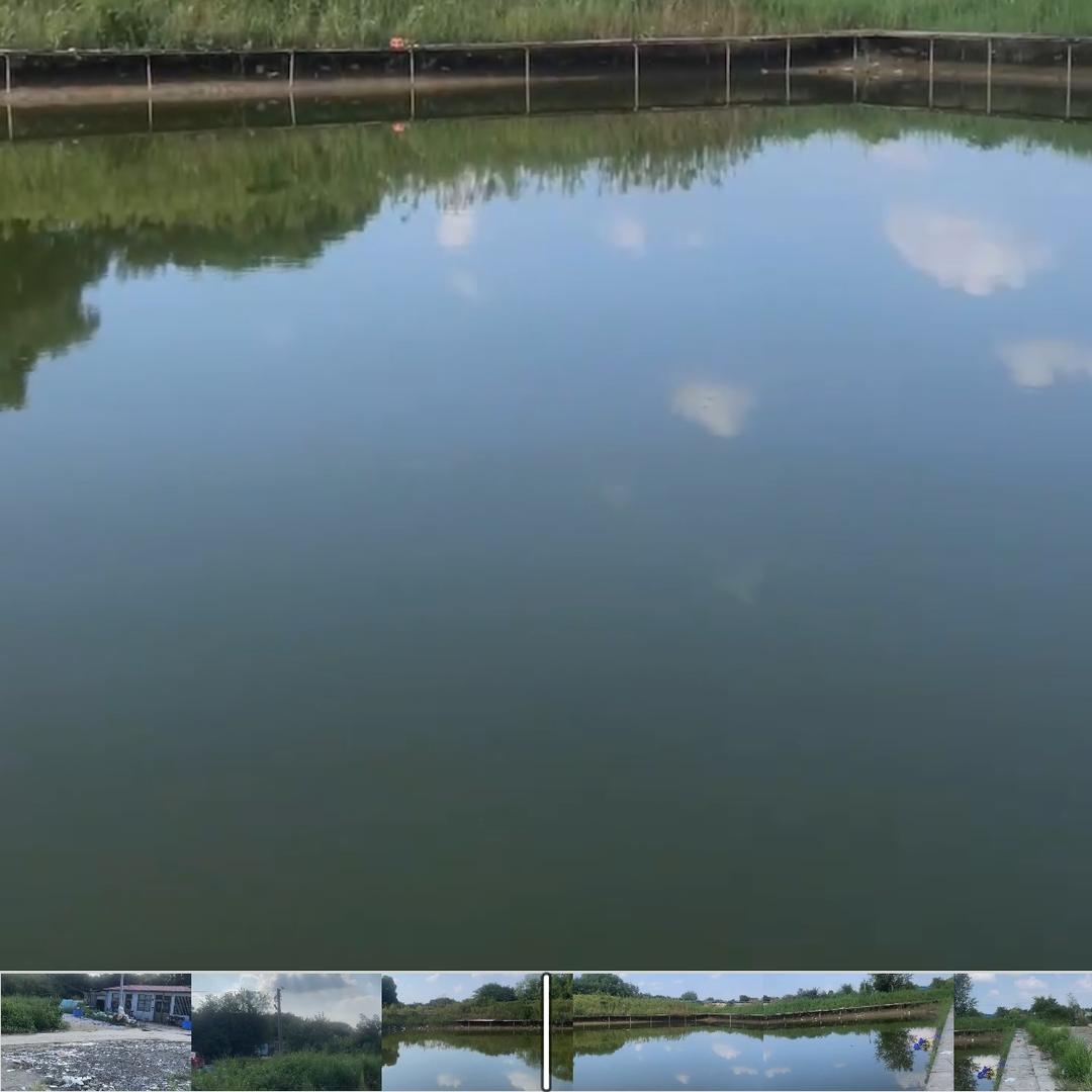 游鱼湾钓场