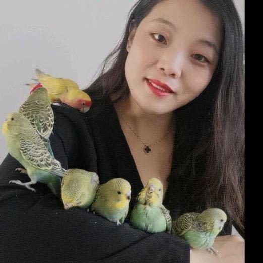 丁丁(手养鹦鹉)会说话的虎皮