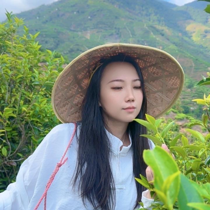 上品茗坊茶叶店精选好物