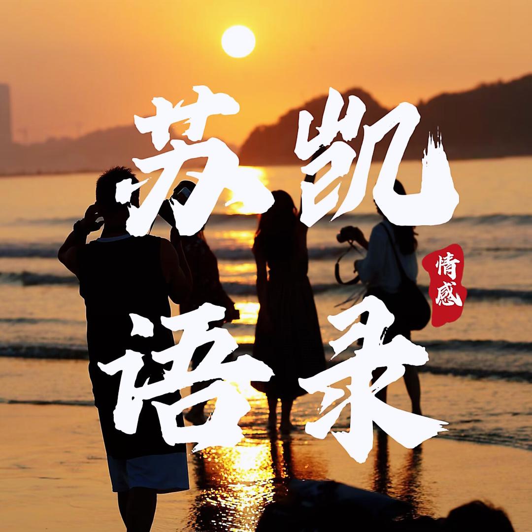 苏凯语录