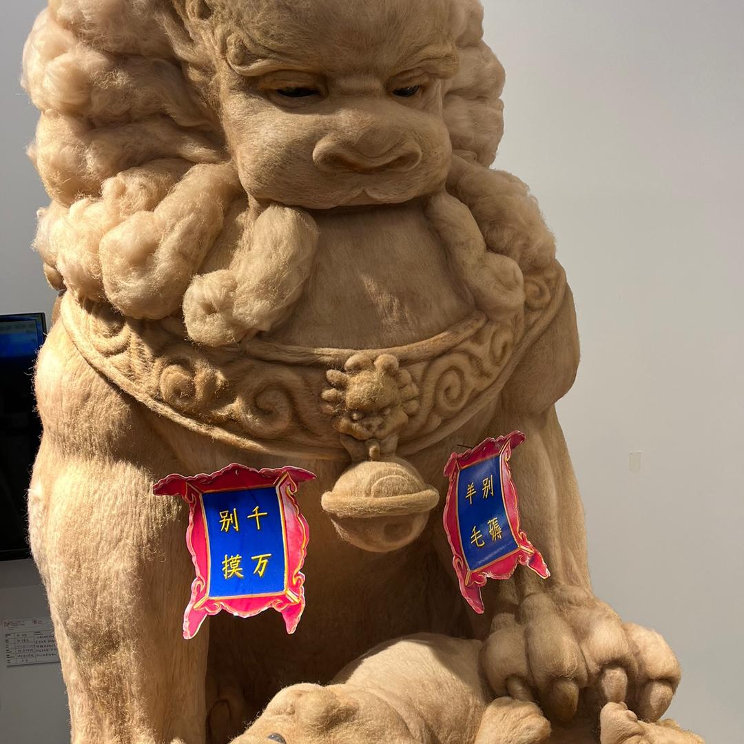 谷德猫宁