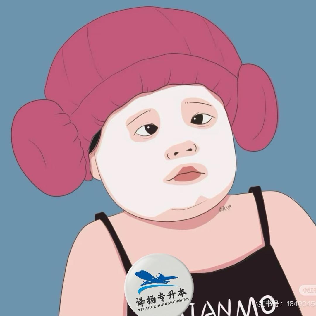 译扬专升本网洪老师