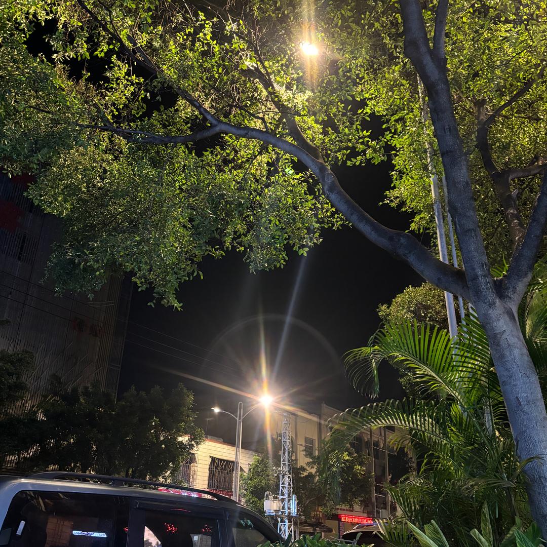 🍃困糊涂了
