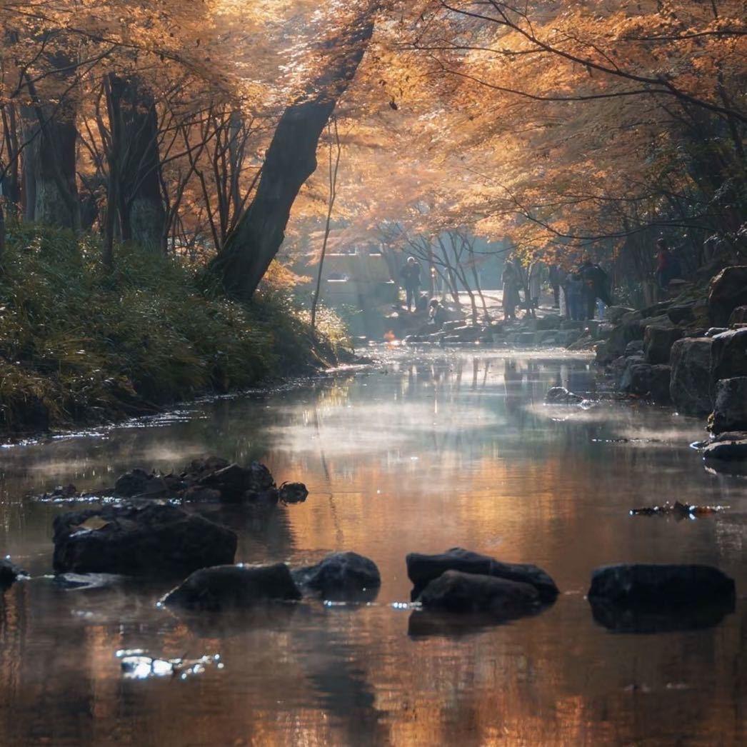 秋风引🍁
