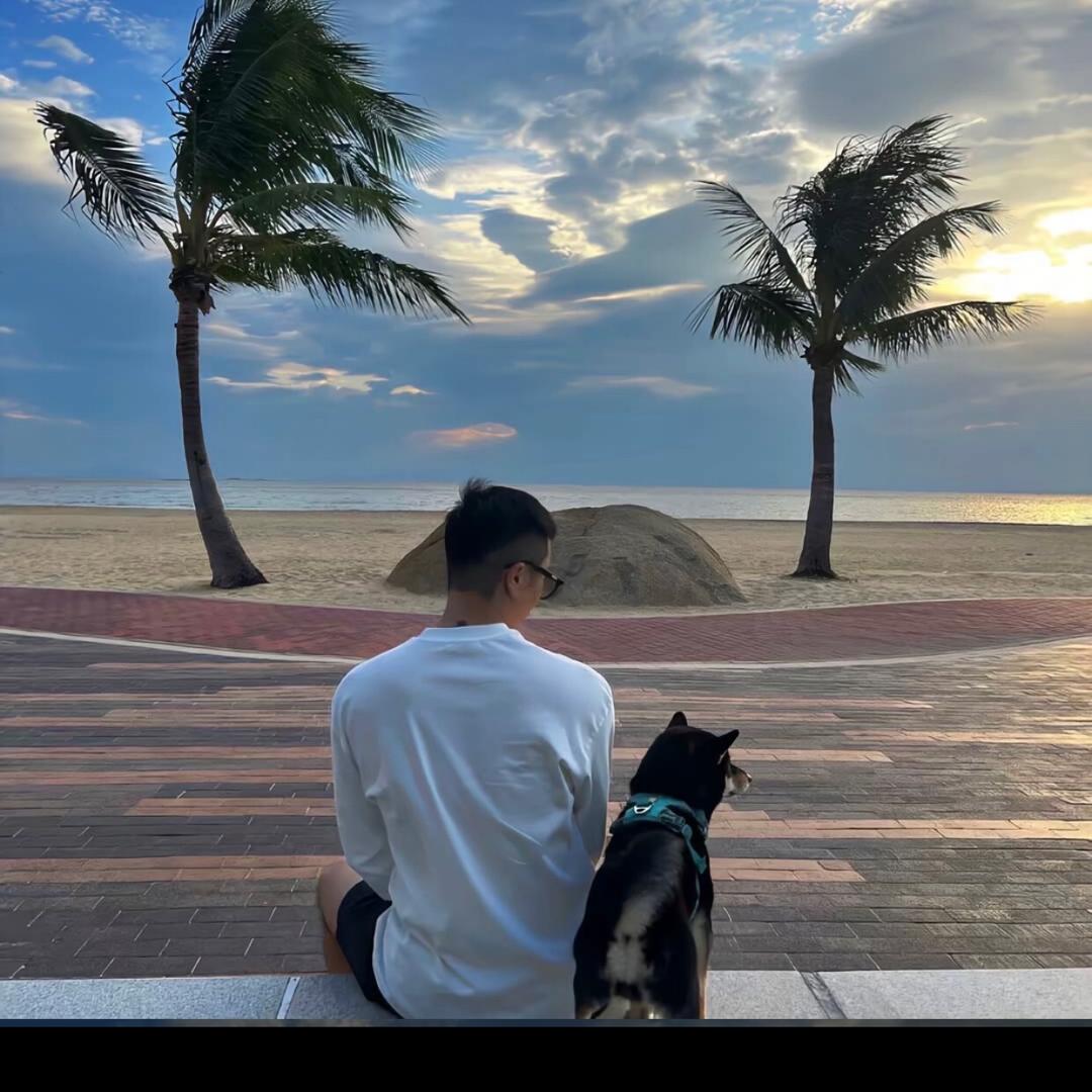 稳🐾