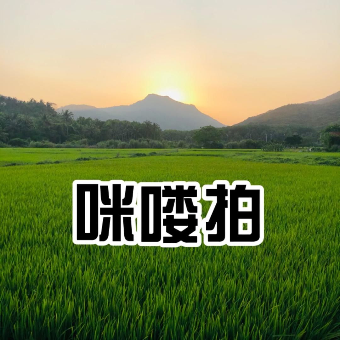 咪喽拍