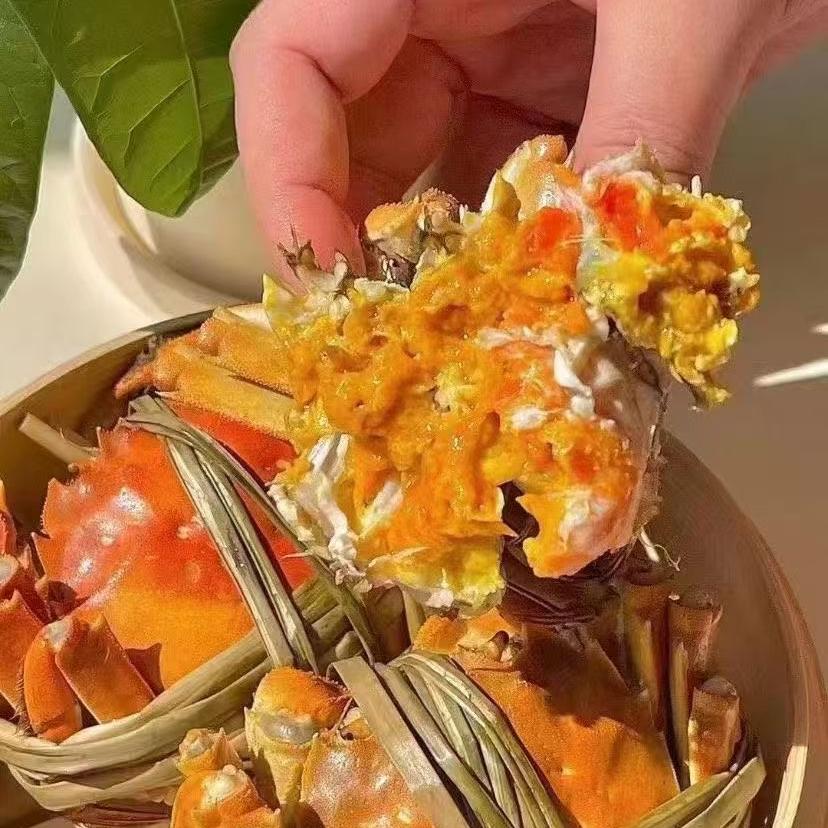 艺美阳澄金标大闸蟹