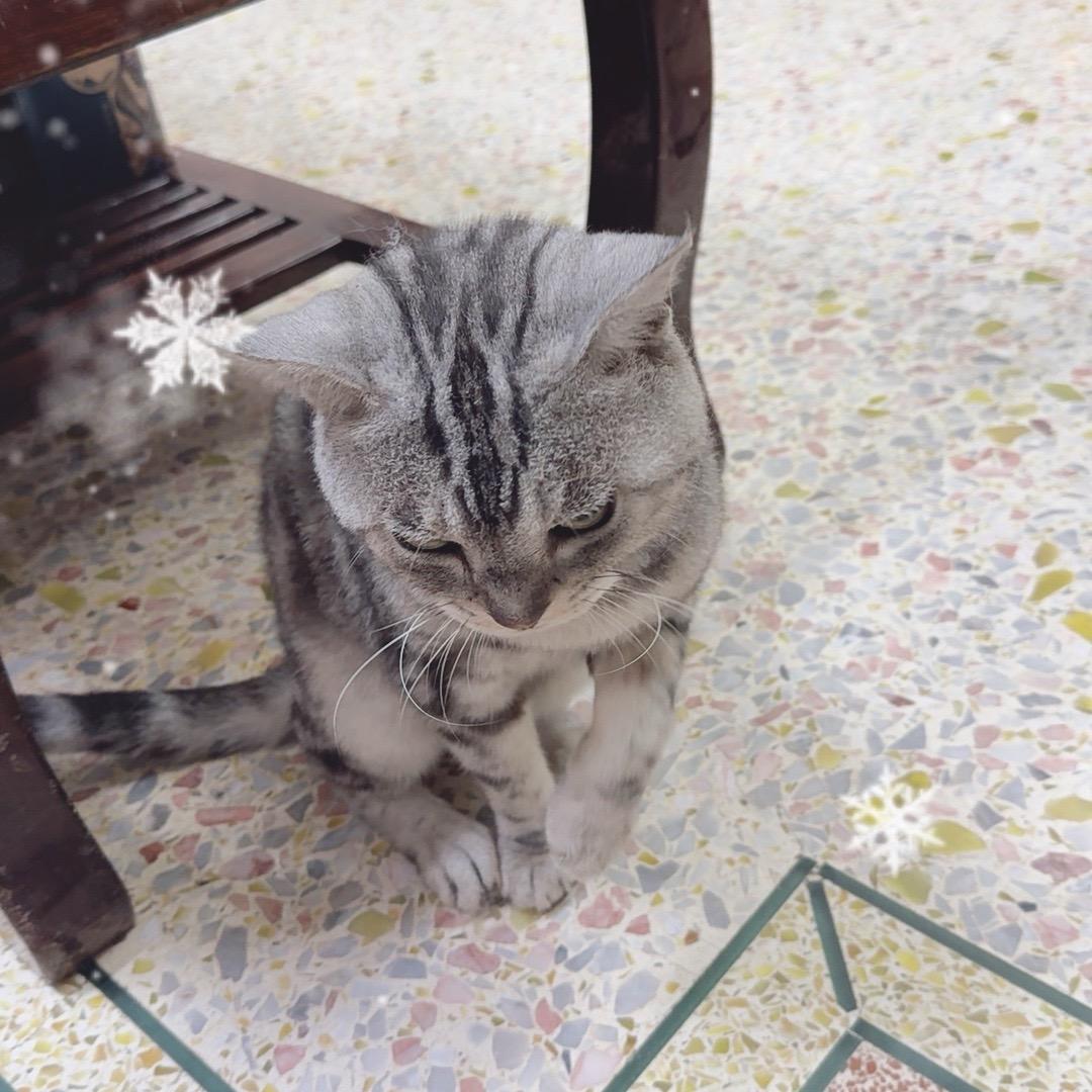 南澳妹妹