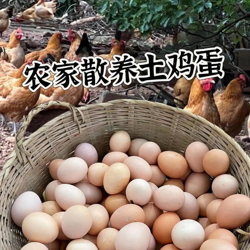 小王农园（助农）