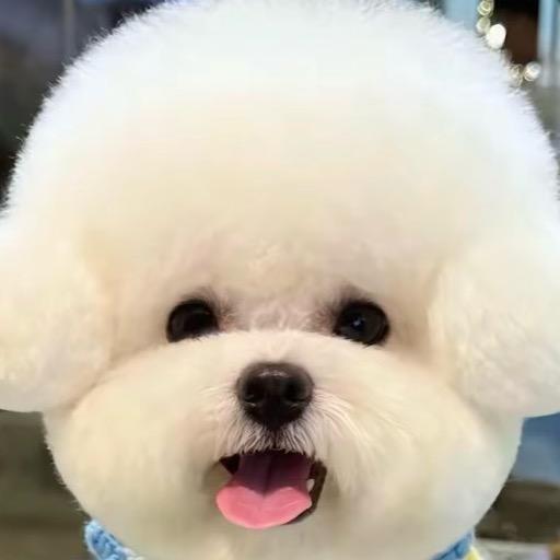 我的鹏～