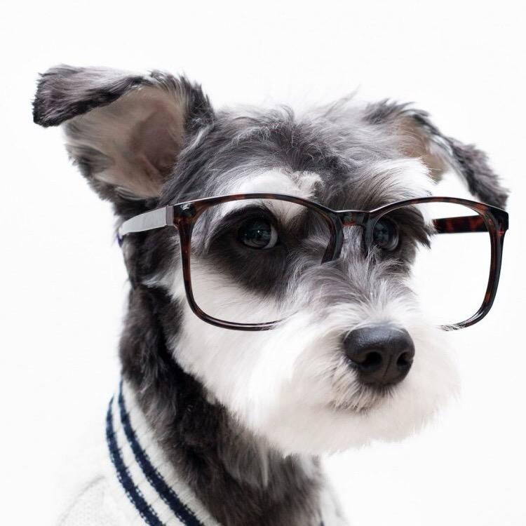 游戏人生的乐趣