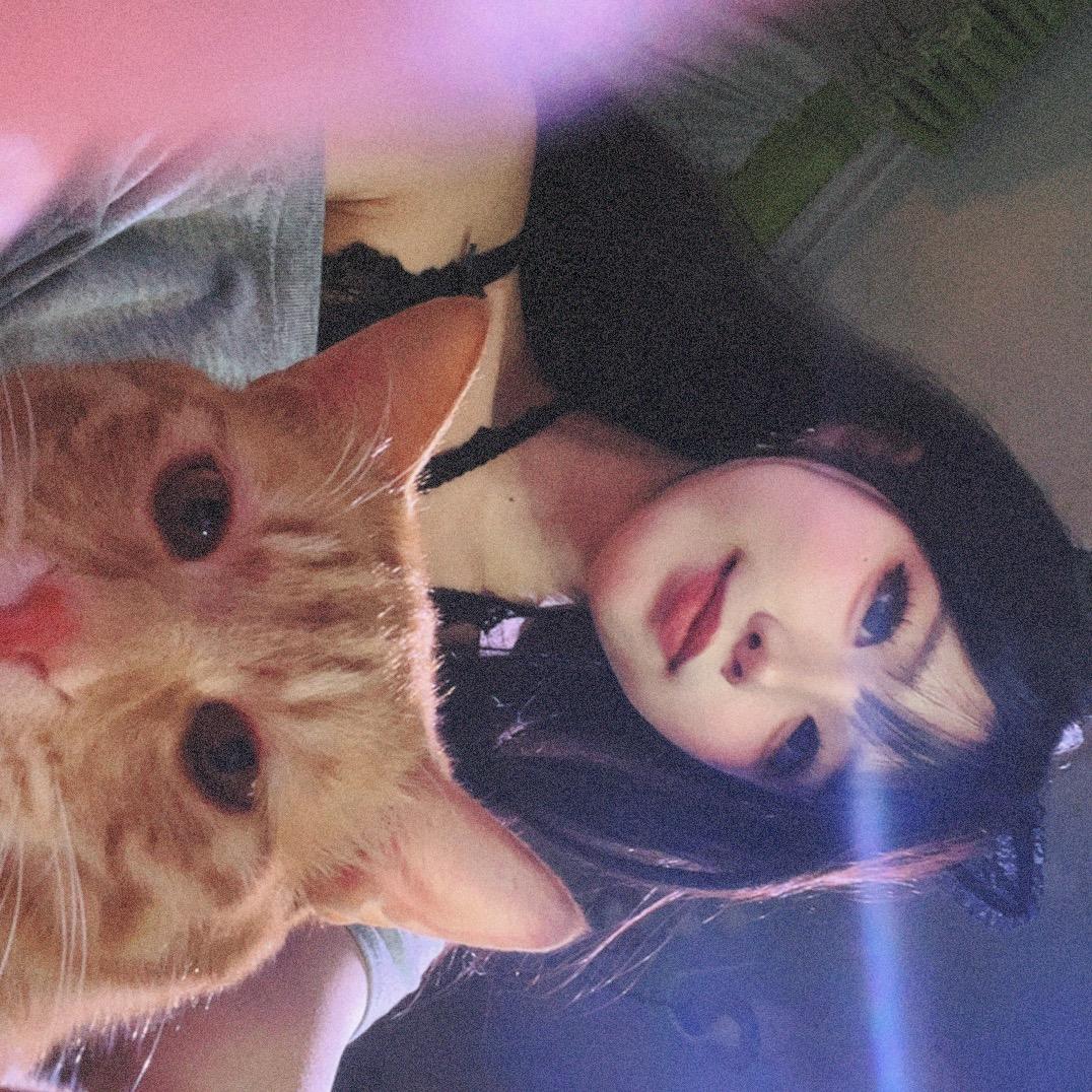 豆崽🫘