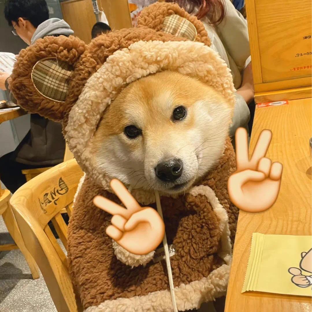 栖迟.