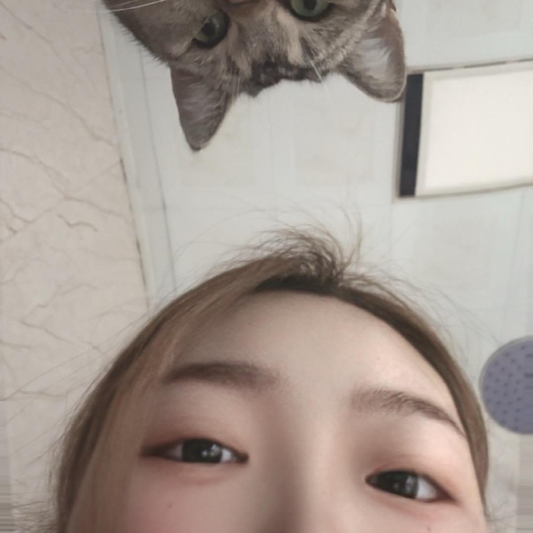 佐手一只猫