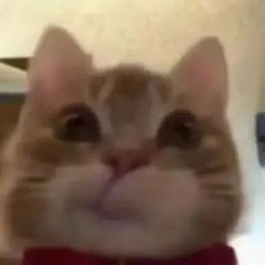 成宝拉的qq空间📷