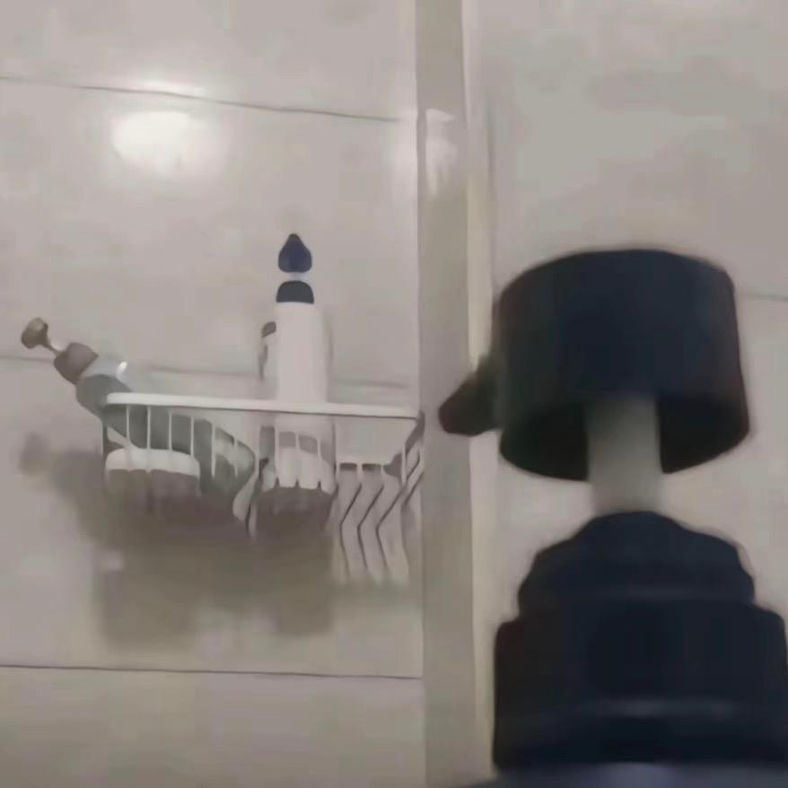 样